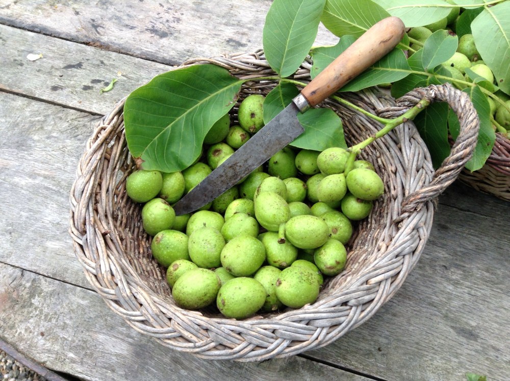 9150984721_e0cea472c7_o (1)